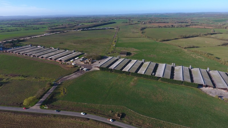 The human victims of ‘big&nbsp;ag’