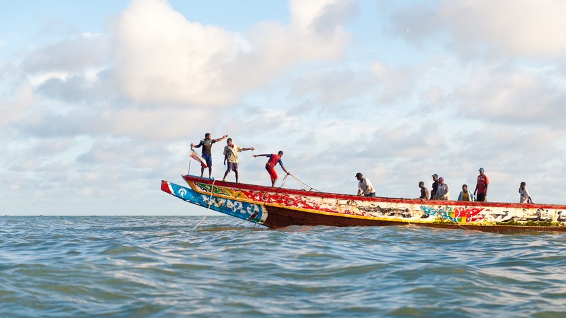 Feeding a monster: how aquaculture is stealing food from West African&nbsp;communities
